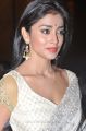 Tamil Actress Shreya Latest Photos in White Saree