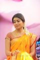 Shriya Saran Saree Photos at Pavitra Telugu Movie Launch