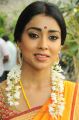 Shriya Saran Saree Photos at Pavitra Movie Launch