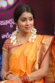 Actress Shriya Saree Photos at Pavithra Telugu Movie Launch