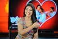 Cute Shriya Saran Stills