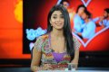 Cute Shriya Saran Stills