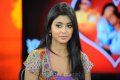 Cute Shriya Saran Stills