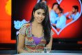 Cute Shriya Saran Stills