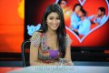 Cute Shriya Saran Stills