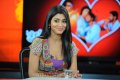 Cute Shriya Saran Stills