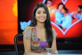 Cute Shriya Saran Stills