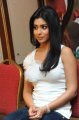 Nuvva Nena Heroine Shriya Saran in White Dress