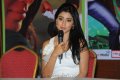 Shriya Saran at Nuvva Nena Press Meet