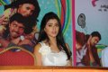 Nuvva Nena Heroine Shriya Saran in White Dress