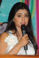 Nuvva Nena Heroine Shriya Saran in White Dress