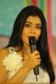 Shriya Saran at Nuvva Nena Press Meet