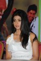 Actress Shriya Saran Beautiful Photos