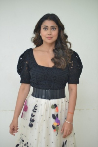 Actress Shriya Saran Pics @ Gamanam Movie Press Meet