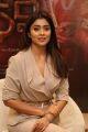 Gautamiputra Satakarni Actress Shriya Saran Latest Pics