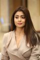 Gautamiputra Satakarni Movie Heroine Shriya Saran Interview Pics