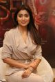 Gautamiputra Satakarni Actress Shriya Saran Pics