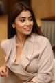 Gautamiputra Satakarni Actress Shriya Saran Latest Pics