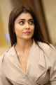 Actress Shriya Saran Latest Pics at Gautamiputra Satakarni Interview