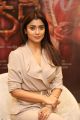 Gautamiputra Satakarni Actress Shriya Saran Latest Pics