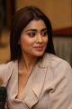 Gautamiputra Satakarni Movie Heroine Shriya Saran Interview Pics