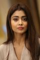 Gautamiputra Satakarni Actress Shriya Saran Latest Pics