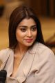 Gautamiputra Satakarni Actress Shriya Saran Interview Pics