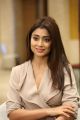 Gautamiputra Satakarni Actress Shriya Saran Latest Pics