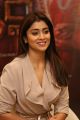 Gautamiputra Satakarni Actress Shriya Saran Latest Pics