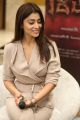 Gautamiputra Satakarni Actress Shriya Saran Interview Pics