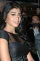 Shriya Saran Hot in Black Dress