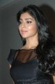 Shriya Saran Hot in Black Dress