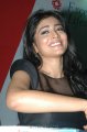 Shriya Saran Hot in Black Dress