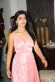 Shriya Saran Latest Hot Spicy Pics