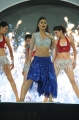 Shriya Saran Hot Dance in CCL