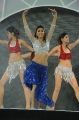 Shriya Saran Hot Dance in CCL