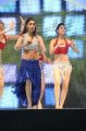 Shriya Saran Hot Dance in CCL