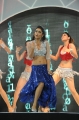 Shriya Saran Hot Dance in CCL