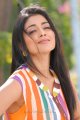 Nuvva Nena Actress Shriya Saran Hot Pics