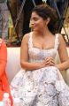 Actress Shriya Saran Hot Latest Pics