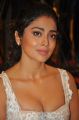 Actress Shriya Saran Hot Pics @ Paisa Vasool Audio Success Meet