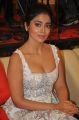 Actress Shriya Saran Hot Pics @ Paisa Vasool Audio Success Meet