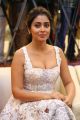 Actress Shriya Saran Hot Pics @ Paisa Vasool Audio Success Meet