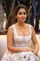 Hot Shriya Saran Pics @ Paisa Vasool Audio Success Meet