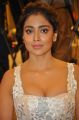 Hot Shriya Saran Pics @ Paisa Vasool Audio Success Meet