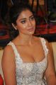 Paisa Vasool Actress Shriya Saran Hot Pics