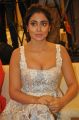 Paisa Vasool Heroine Shriya Saran Hot Pics