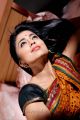 Actress Shriya Hot Pics in Pavithra Movie