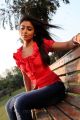 Actress Shriya Saran Hot Pics in Pavithra Movie