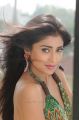 Actress Shriya Saran Hot Stills in Pavithra Movie
